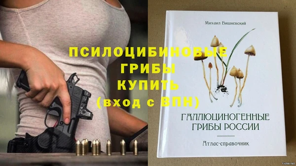 индика Остров