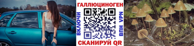 мега вход  купить закладку  Отрадное  Галлюциногенные грибы Psilocybine cubensis 